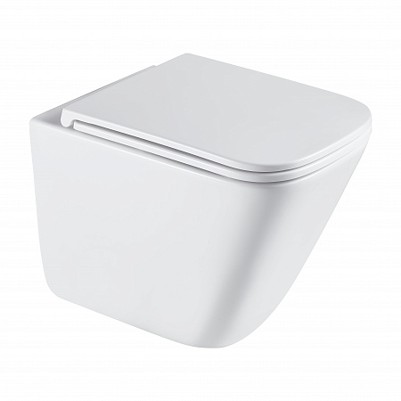 Подвесной унитаз безободковый Terminus Ватикан Monolit 490х340 белый Волжский - фото 2