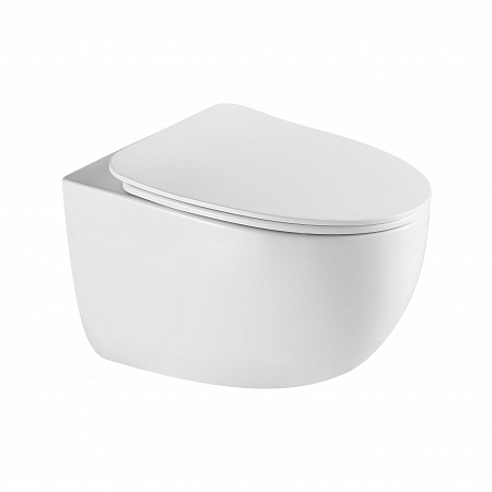 Подвесной унитаз безободковый Terminus Енисей Monolit 560х390 белый Волжский - фото 2